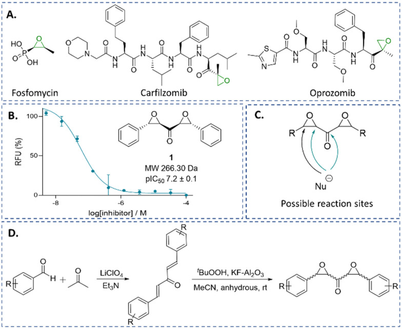 Fig. 1