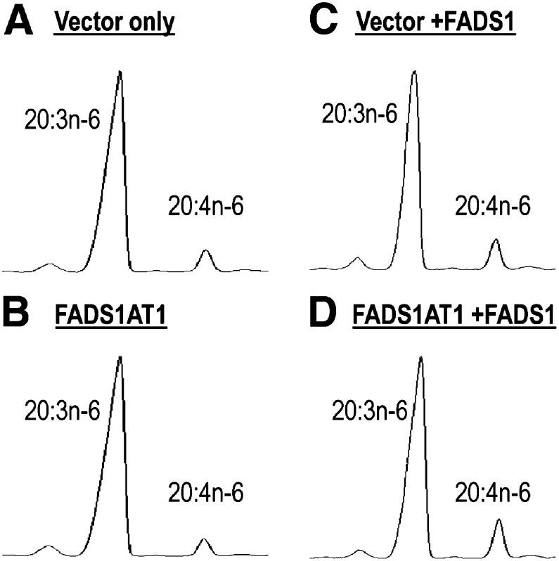 Fig. 3.