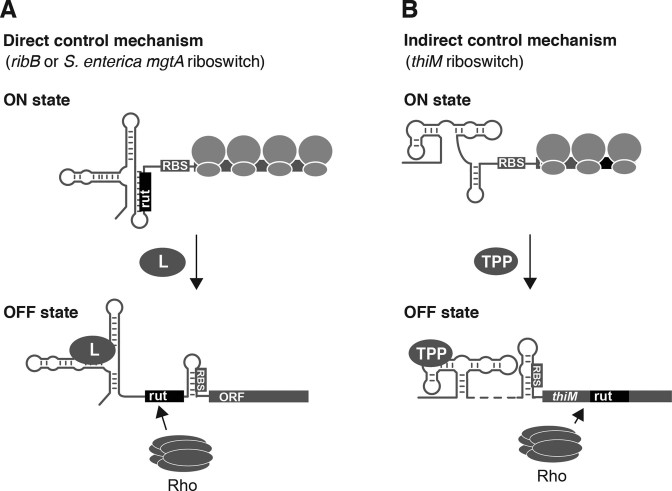 Figure 7.