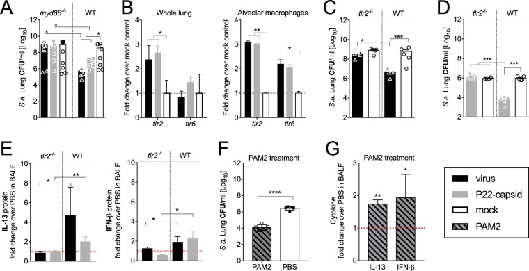 FIG 2 