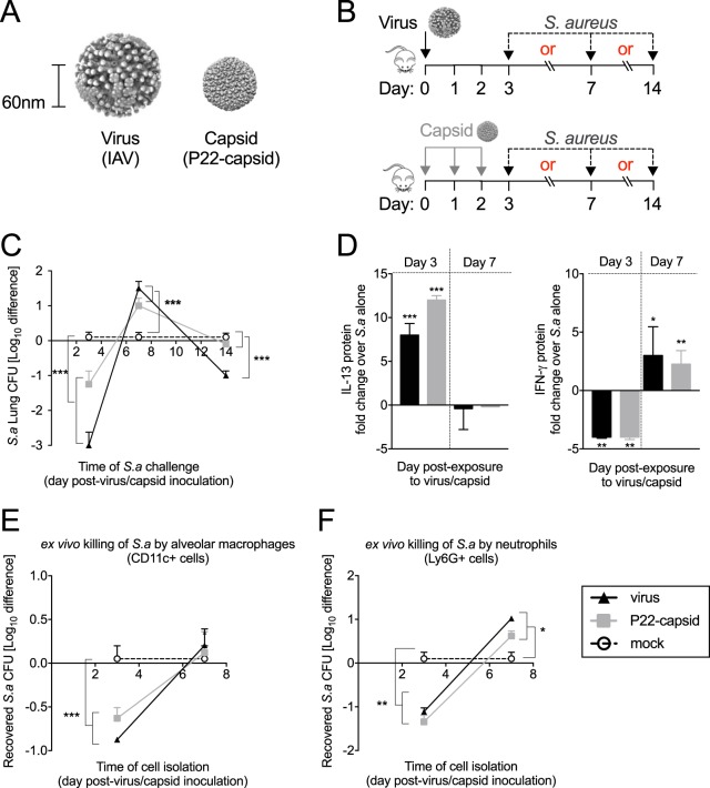 FIG 1 