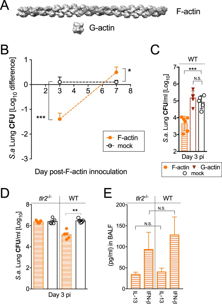 FIG 4 