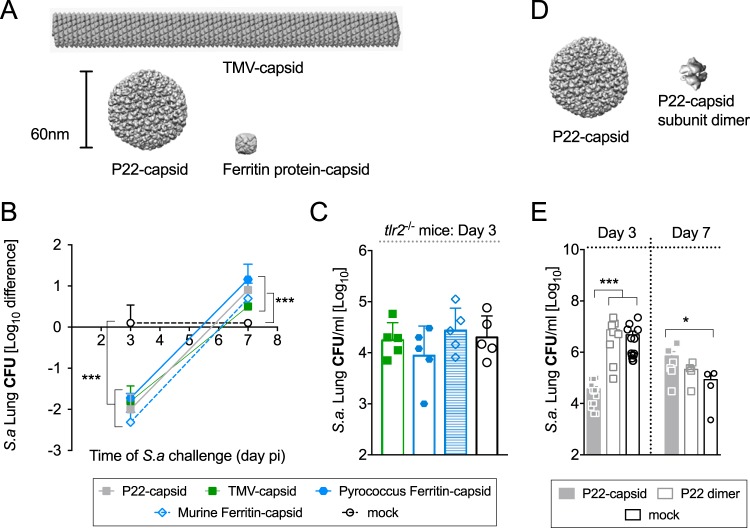 FIG 3 