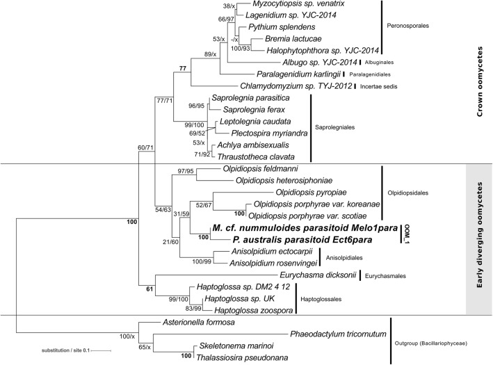 FIGURE 4