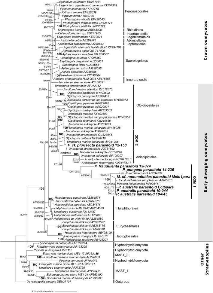 FIGURE 3