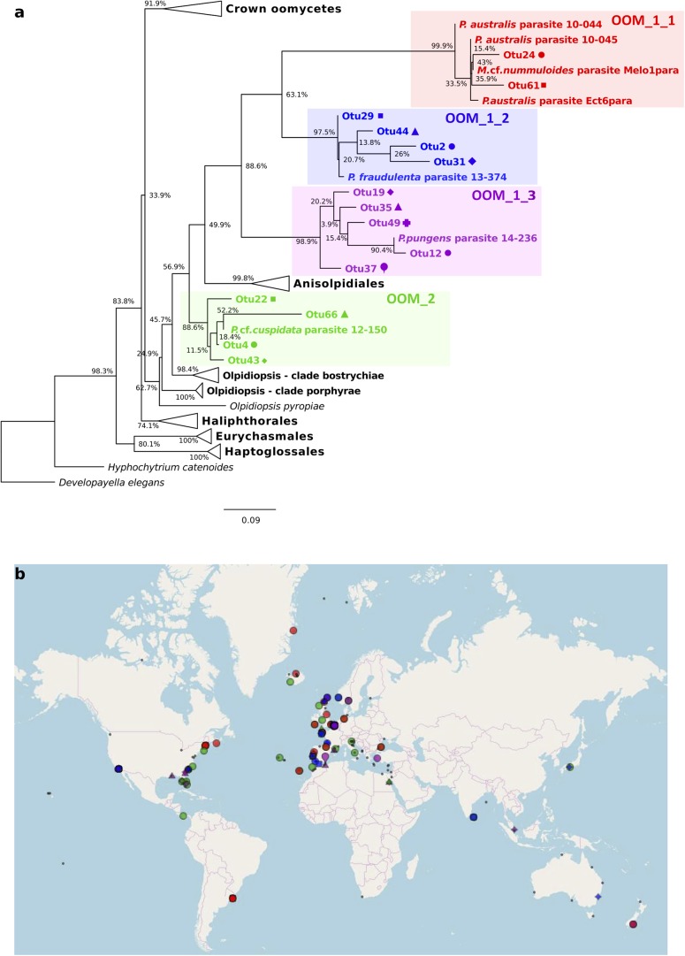 FIGURE 6