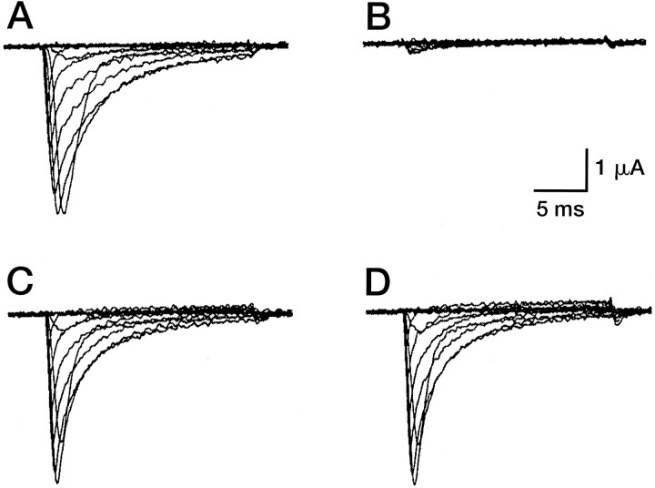 Fig. 5.