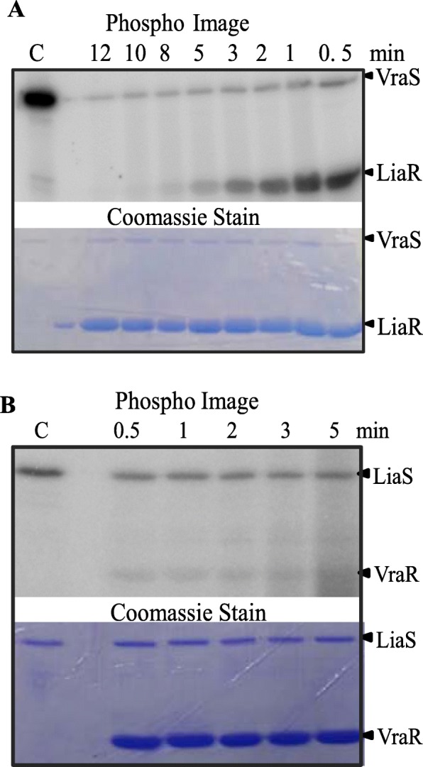 Fig. 9