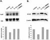 FIG. 9.