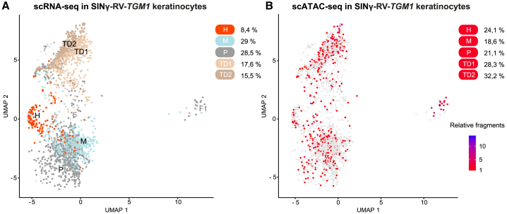 Figure 6