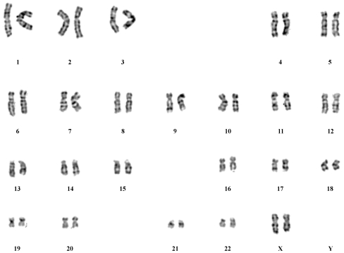 Fig. 4