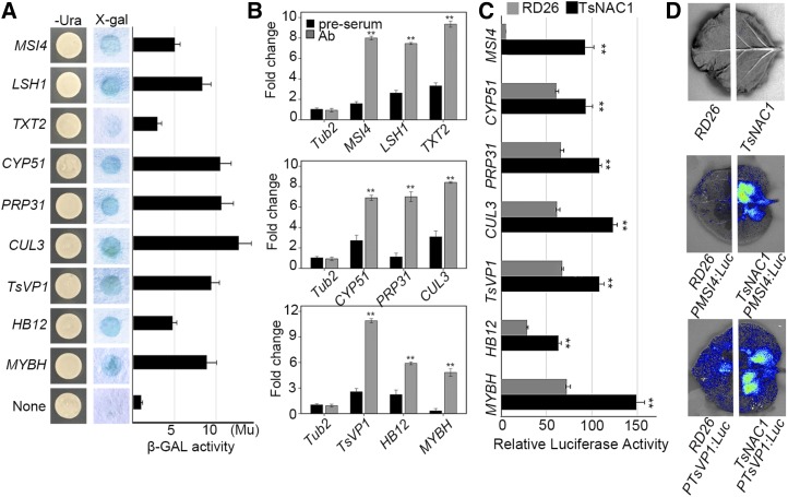 Figure 4.