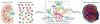 Fig. 3 |