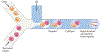 Fig. 2 |