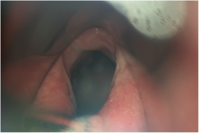 Figure 5.
