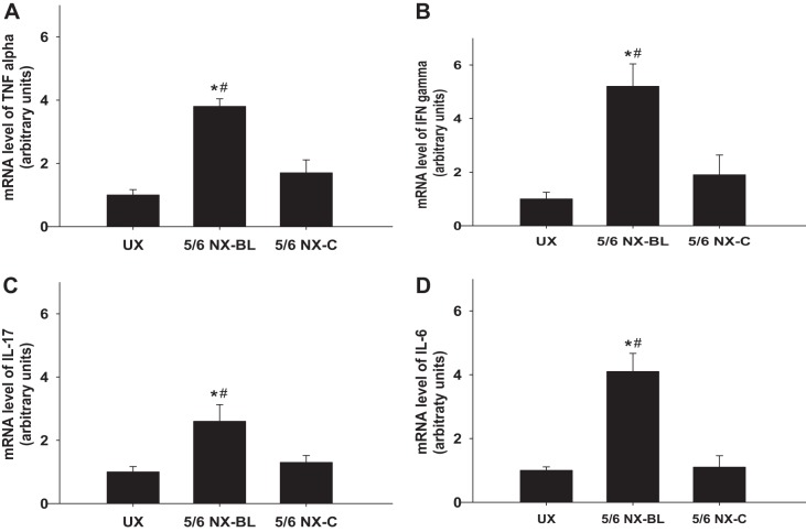 Fig. 8.