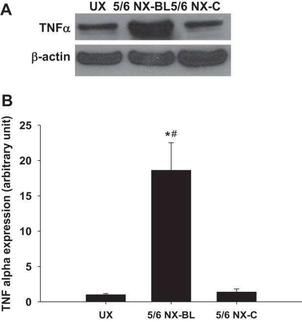 Fig. 9.