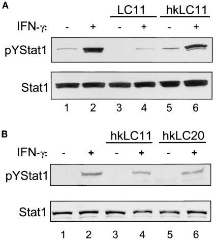 FIG. 7.