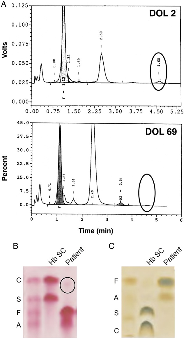 Figure 2