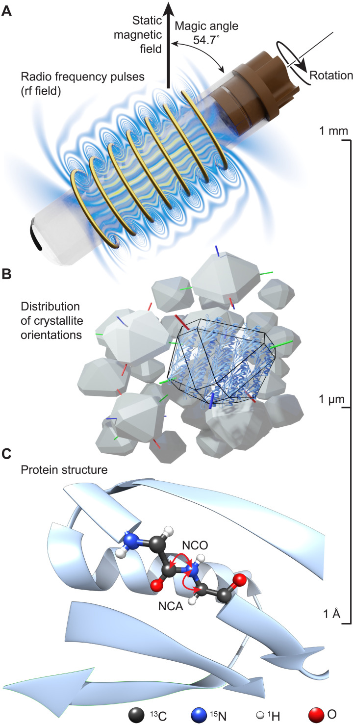 Fig. 1.