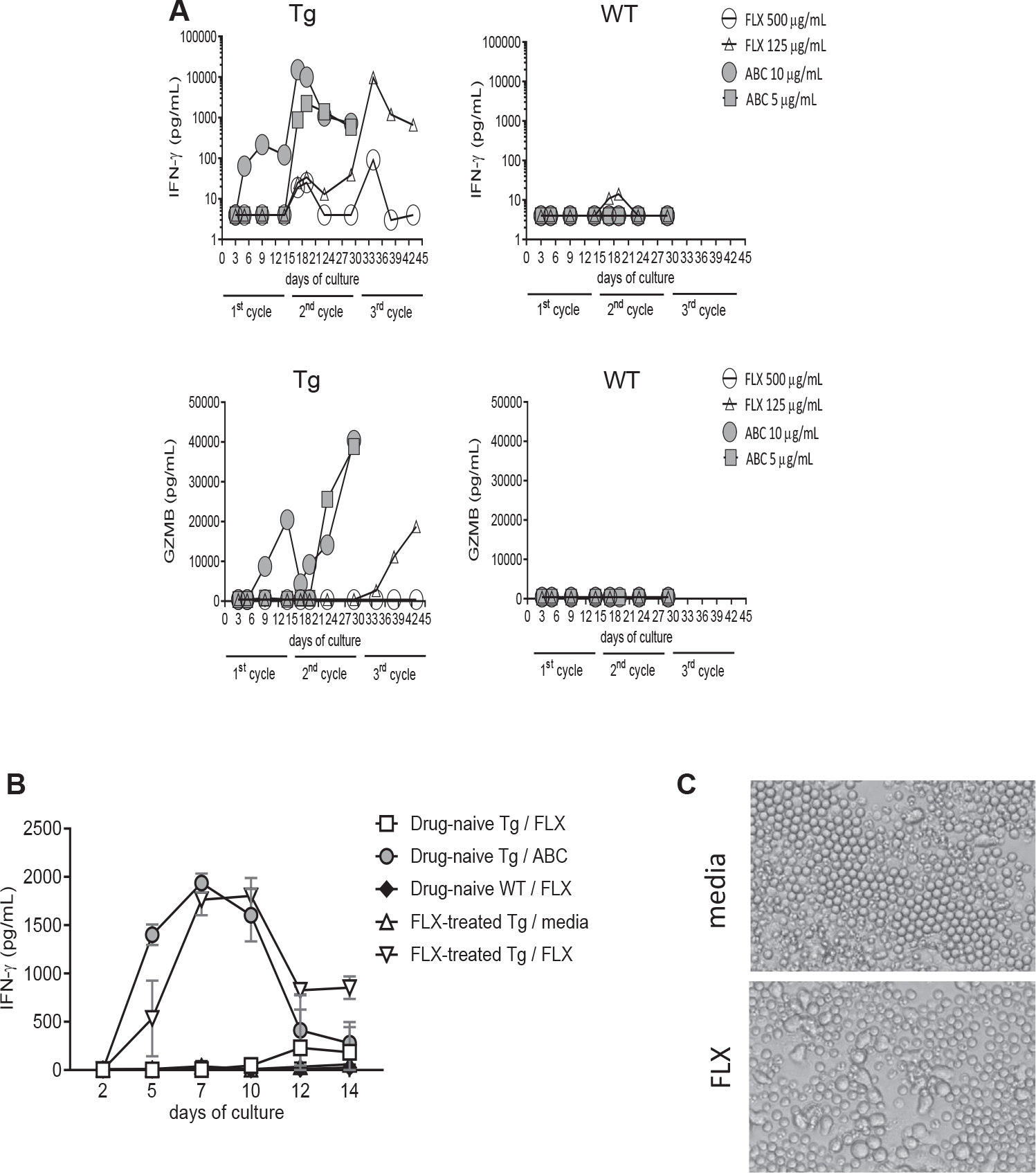 FIG 1.