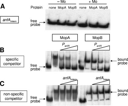 FIG. 7.