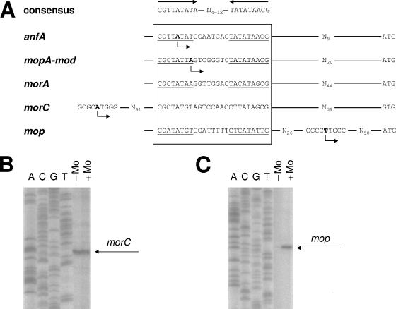 FIG. 5.