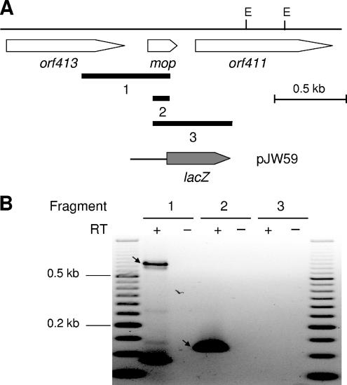 FIG. 3.