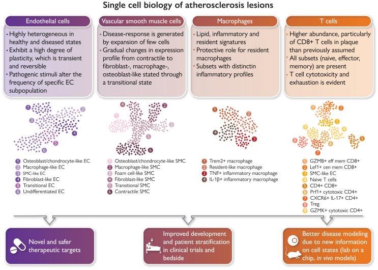 Graphical Abstract