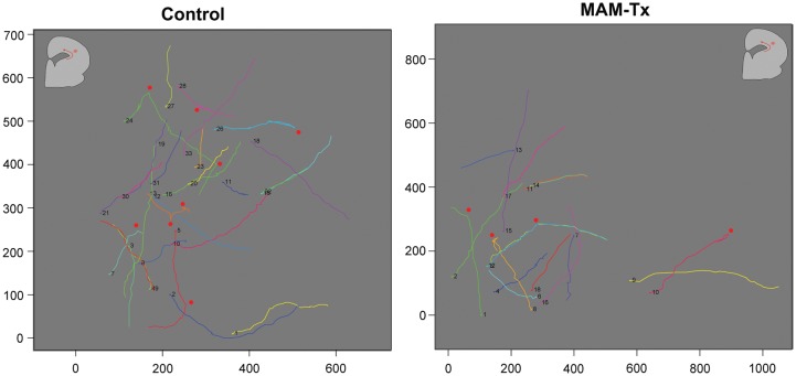 Figure 5.