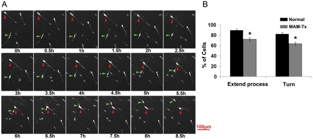 Figure 4.