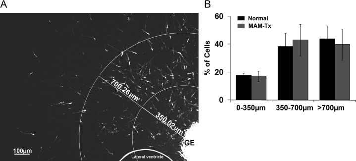 Figure 3.