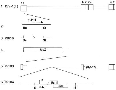 FIG. 1.