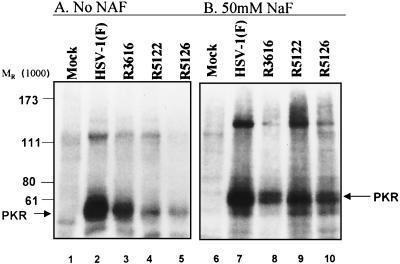 FIG. 5.