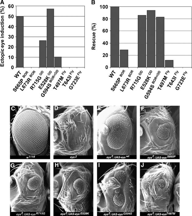 Figure 2.—