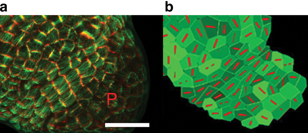 Figure 10