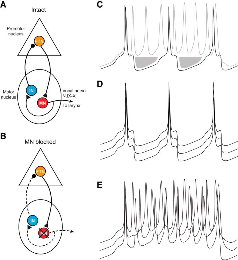 Figure 7.