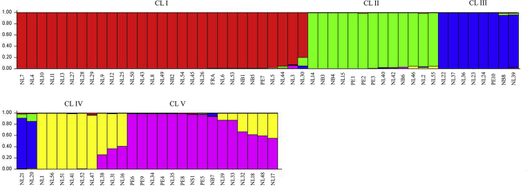 Fig. 3