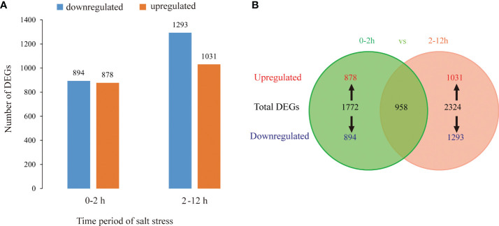 Figure 6