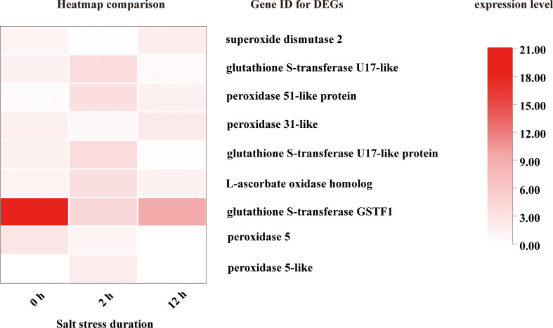 Figure 14