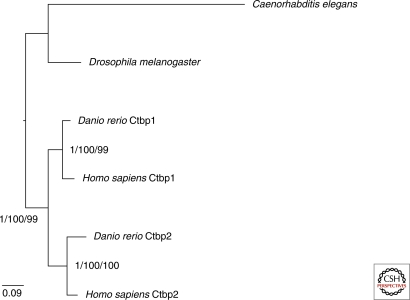 Figure 5.