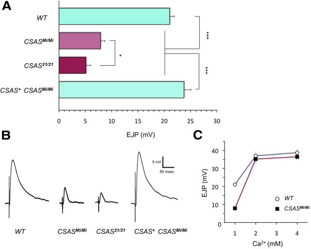 Figure 6.