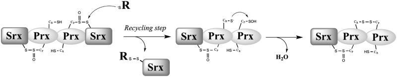 FIG. 7.