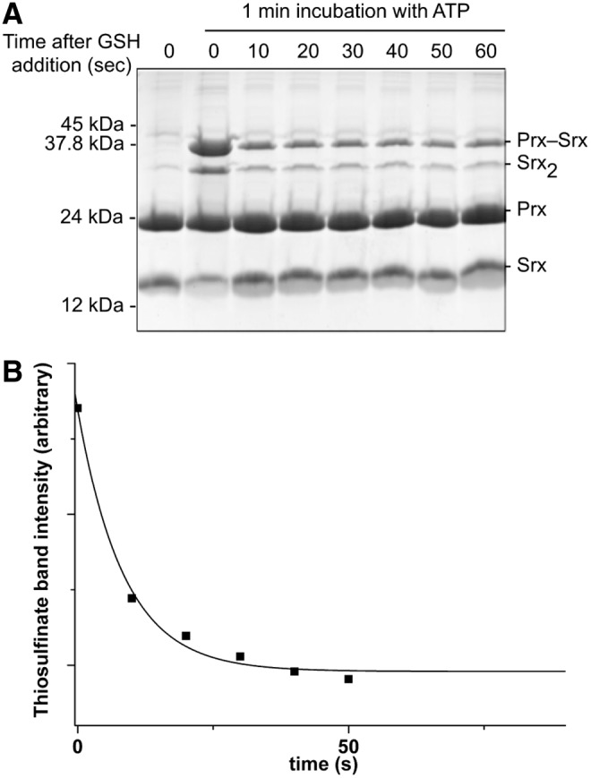 FIG. 5.