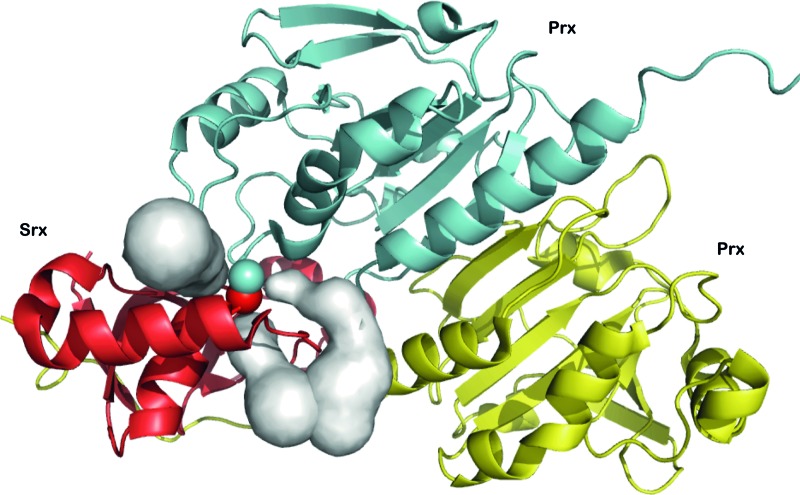 FIG. 8.