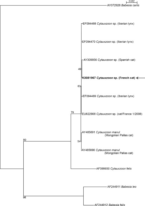 Fig. 2