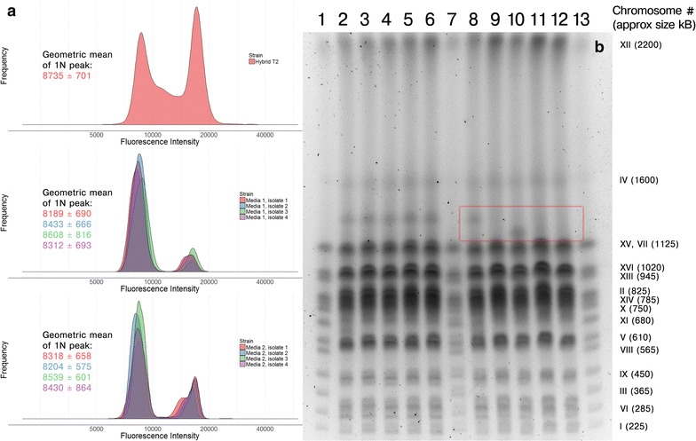 Fig. 9