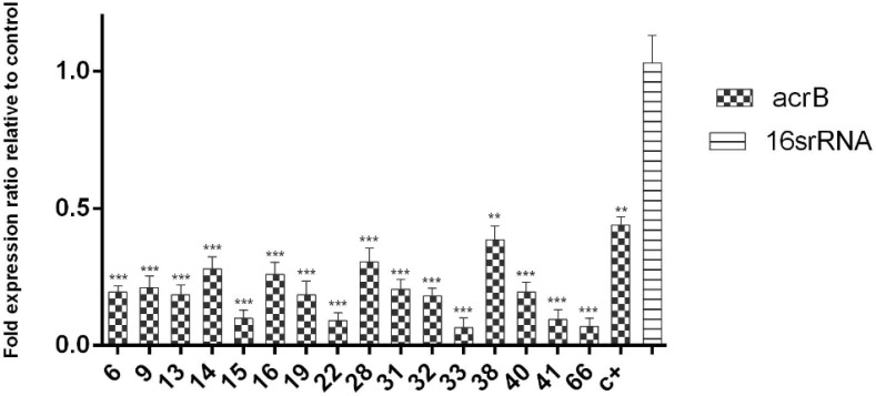 Fig. 6: