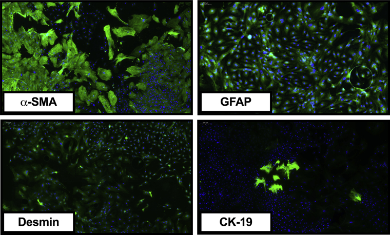 Figure 14