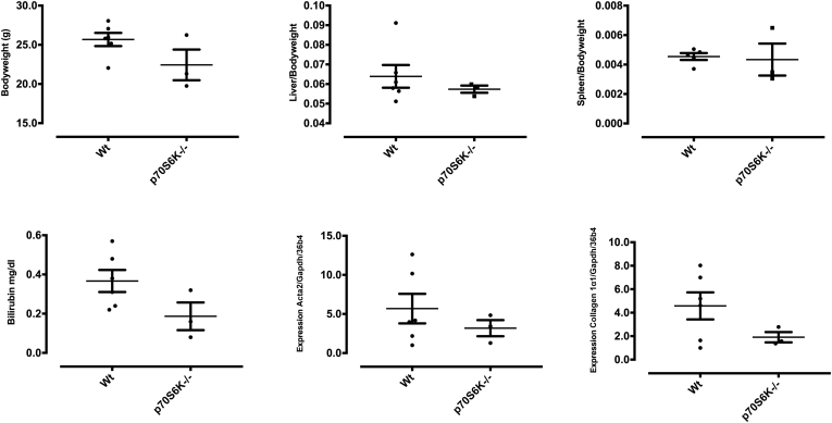 Figure 7